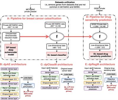 Frontiers | Differential Private Deep Learning Models For Analyzing ...